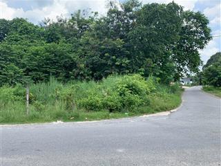 Gia đình cần bán nhanh miếng đất 295m2 góc 2 mt đường liêu bình hương, tân thông hội , củ chi