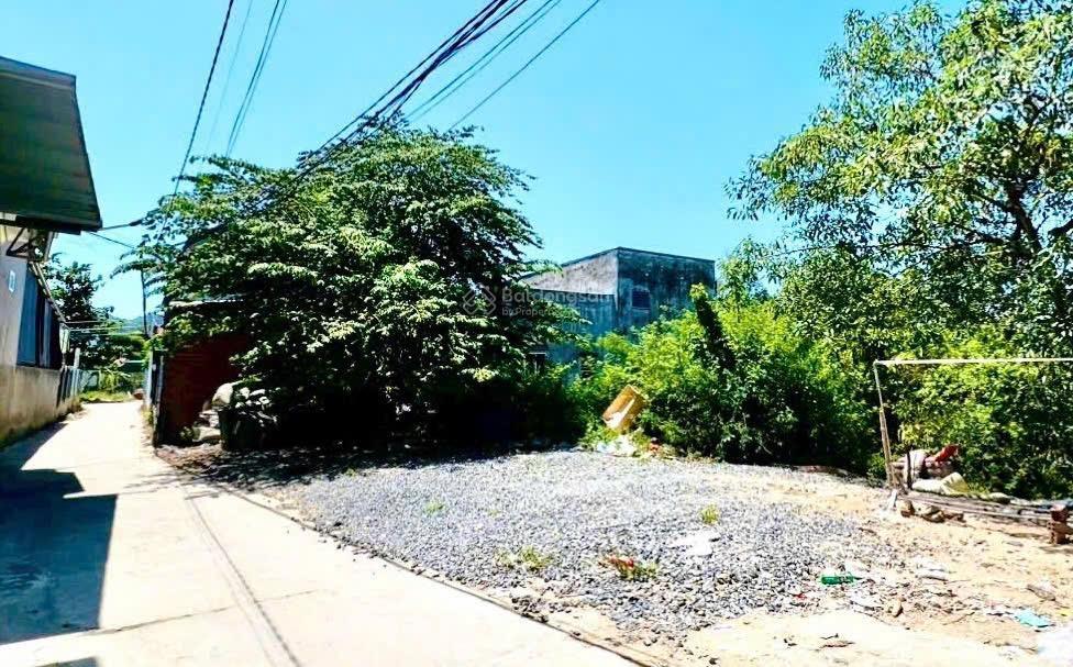 Bán gấp đất ngay cầu gỗ phú kiểng vĩnh ngọc giá cực rẻ không tìm đâu ra lô khác