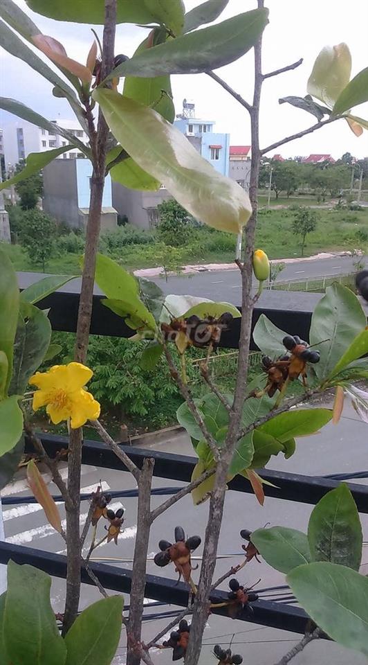BÁN NHÀ GÓC 2 MẶT TIỀN – KDC VĨNH LỘC B, vị trí kinh doanh thuận lợi