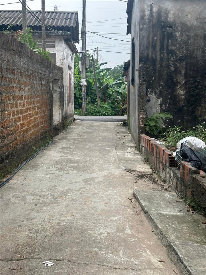 Cần bán 51m đất phụng thượng  phúc thọ, ô tô cách đất chỉ 1 nhà. giáp khu đấu giá đồng cốc