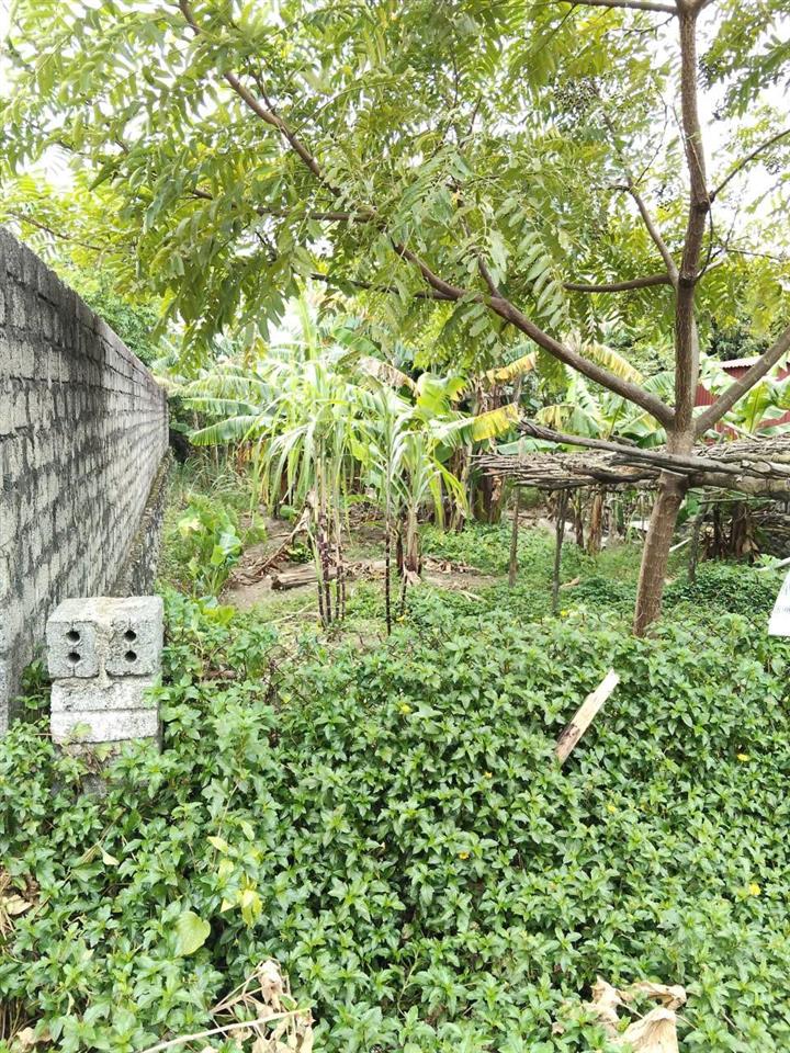 Bán gấp đất full thổ cư giá 3.5 tr/m tại số 05, ngõ 36 lê sỹ bàng, kỳ phương, kỳ anh, 1,08tỷ, 309m2