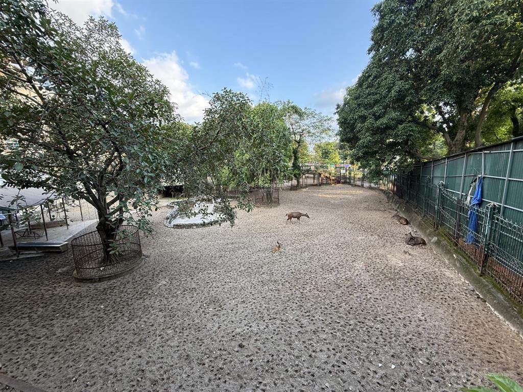 Căn nhà đẹp 3 tầng bán ở mặt công viên thủ lệ phố bưởi và đào tấn đi vào, gần chợ