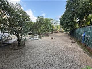 Căn nhà đẹp 3 tầng bán ở mặt công viên thủ lệ phố bưởi và đào tấn đi vào, gần chợ