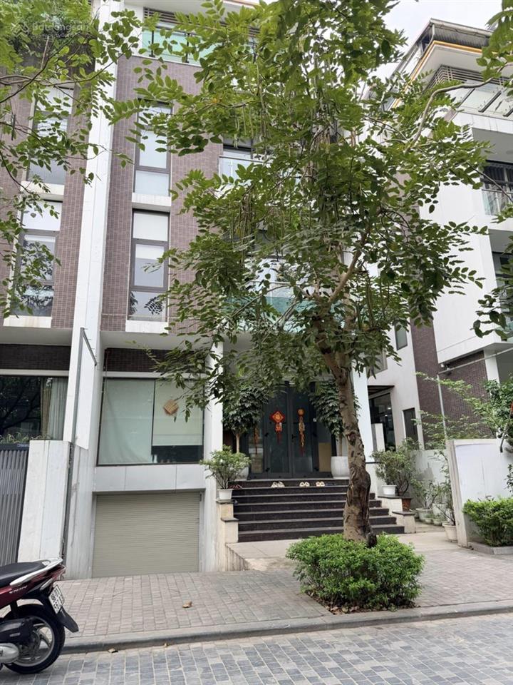 Cực rẻ nhà phố ngõ 143 nguyễn tuân 165m2 5 nổi 1 hầm mt 9m 73.9 tỷ .  0982 880 ***