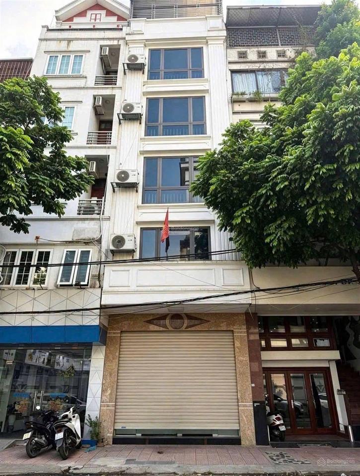 (thang máy) bán nhà mặt phố hoa bằng 50m2x5t mt 4,5m oto kinh doanh 30tr/t ko quy hoạch sổ ngon