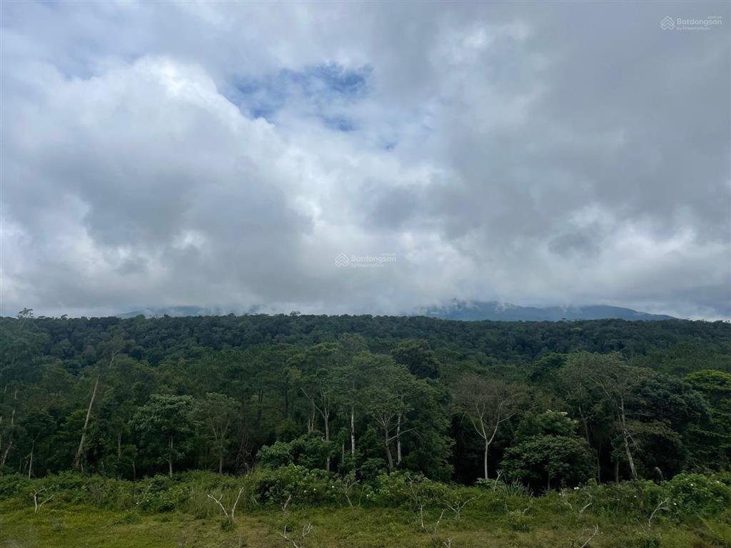 Bán cặp nhà phố, shophouse 5x20 đại lộ hoàng hôn, phố đi bộ chợ măng đen