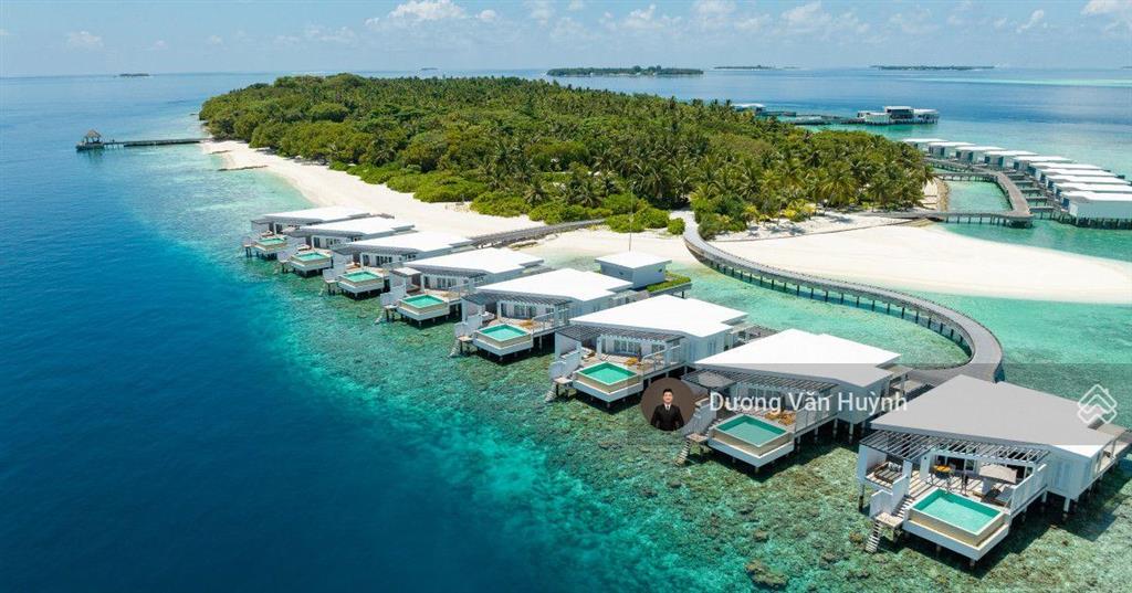 Cơ hội hiếm có sở hữu căn giá đợt đầu lk  bt mặt biển vinhomes cần giờ với mức giá chỉ 10,1 tỷ