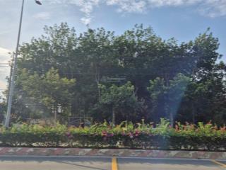 Đất 2 mt hùng vương ~5000m², 300m² thổ cư, p tây nam hcm (bến cát cũ)