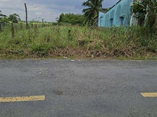 Cần bán lô đất 451.8m² mặt tiền đường nhựa HL 02 Kiểng Phước, Gò Công Đông gần KCN Gia Thuận 1-2