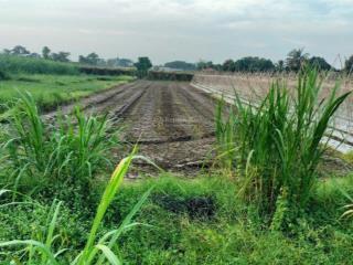 Cuối năm cần bán lô đất giá mềm cho đầu tư