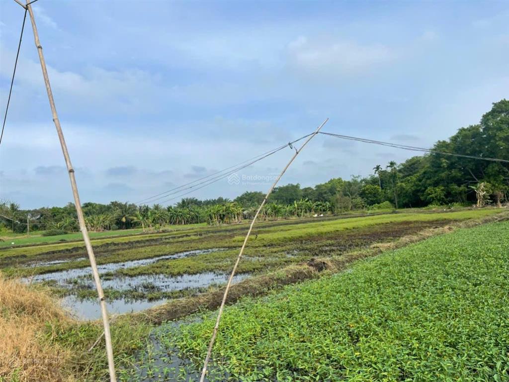 Cần sang nhượng 04 lô đất liền kề đường võ văn bích, xã bình mỹ, tp. hcm. sổ hồng từng lô