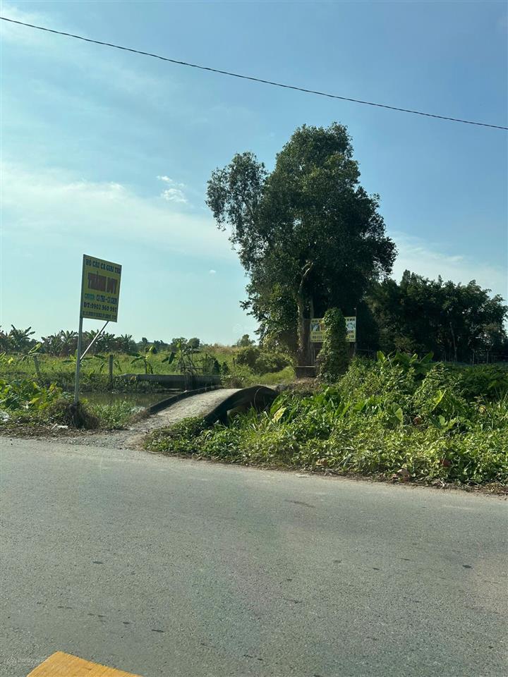 Cần sang nhượng 04 lô đất liền kề đường võ văn bích, xã bình mỹ, tp. hcm. sổ hồng từng lô