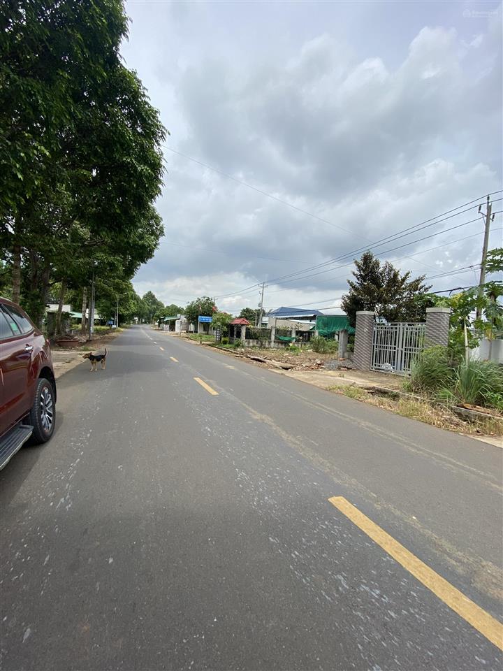 Đất mặt tiền đường trục chính trung tâm thành phố phú mỹ (nay là phường tân thành  tp hồ chí minh)