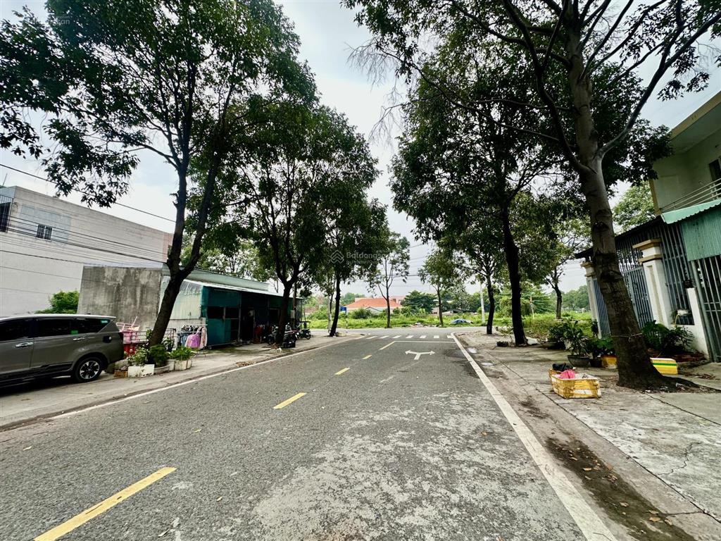 Bán đất khu đô thị mới phú tân khu người hoa ở nhiều, công ty văn phòng, biệt thự nhiều 8,6x30 full
