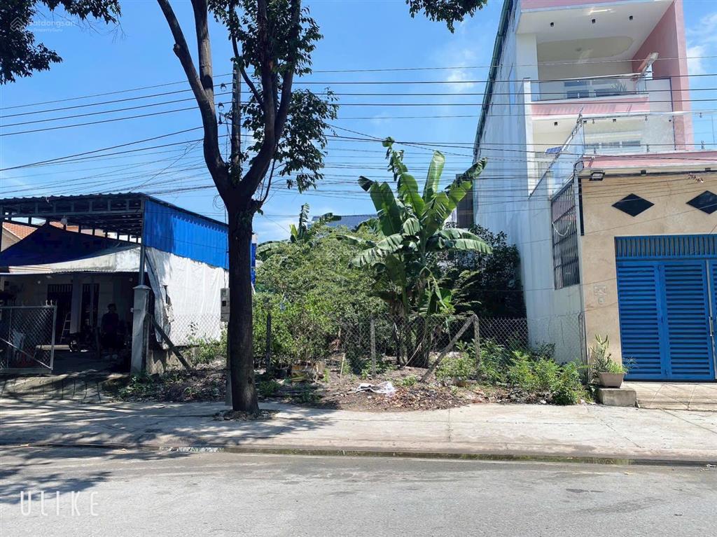 Bán đất khu đô thị mới phường phú tân, chủ giảm 700 triệu bán 300m2 khu tt thành phố mới