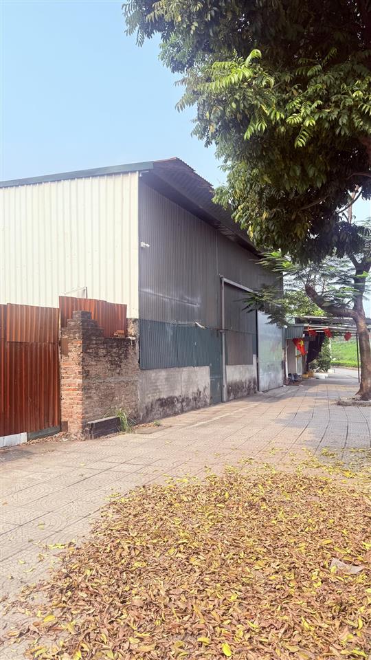 Tôi cần thanh khoản nhanh miếng đất vì nợ ngân hàng lãi quá cao