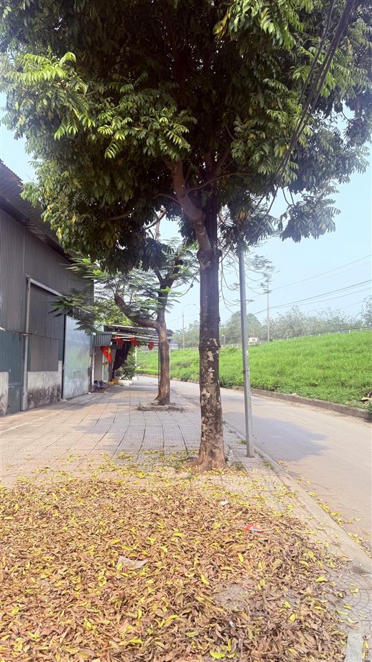 Tôi cần thanh khoản nhanh miếng đất vì nợ ngân hàng lãi quá cao