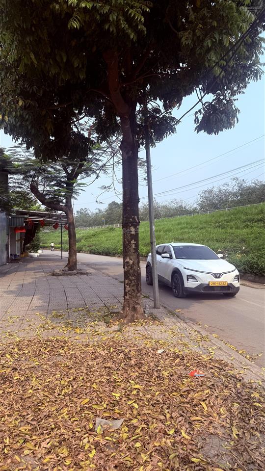 Tôi cần thanh khoản nhanh miếng đất vì nợ ngân hàng lãi quá cao