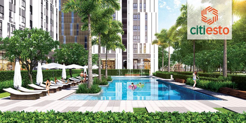 Căn góc citi esto giảm giá chốt nhanh trong tháng 10/2026