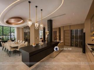 Vip cho thuê  biệt thự song lập luxury phú mỹ hưng 4pn mới 100% .  xem nhà ngay