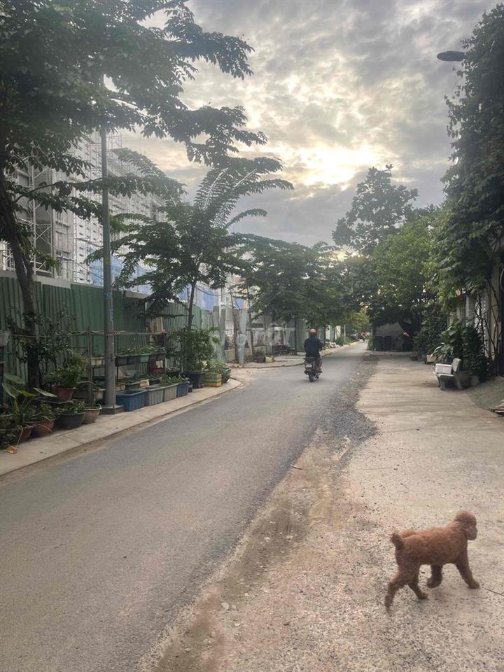 Cho thuê phòng trọ khu 38ha Tân Thới Nhất