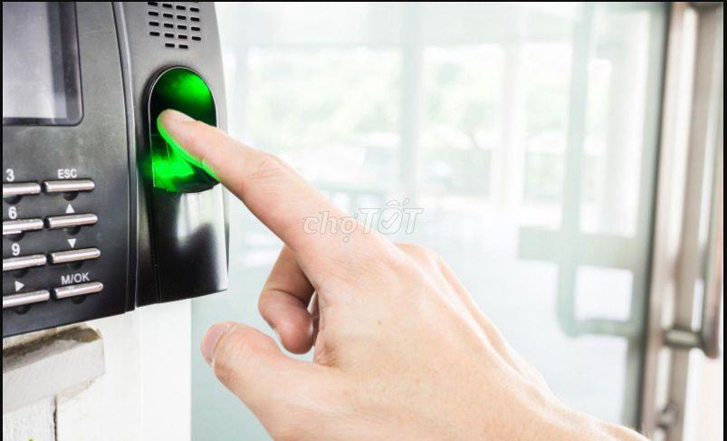 Cho thuê phòng riêng, giơ tự do