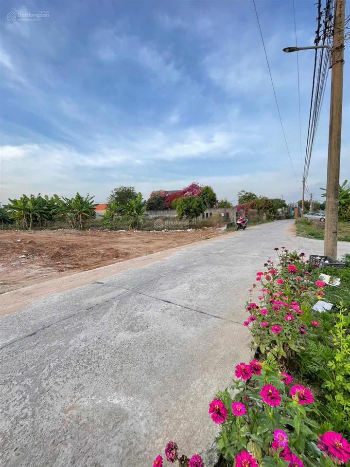 Kèo thơm đất rộng trung tâm khó tìm, dt 779m2 300m2 tc, phường long tâm, thành phố bà rịa