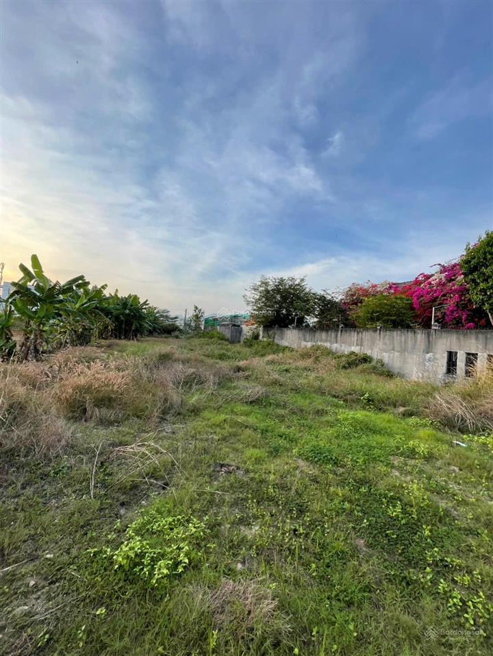 Kèo thơm đất rộng trung tâm khó tìm, dt 779m2 300m2 tc, phường long tâm, thành phố bà rịa