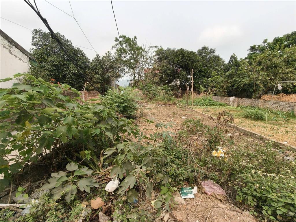 Chủ cần ra lô 100m2, mt5m, phú hạ, sóc sơn, lô góc, ô tô tải, 3.25 tỷ.