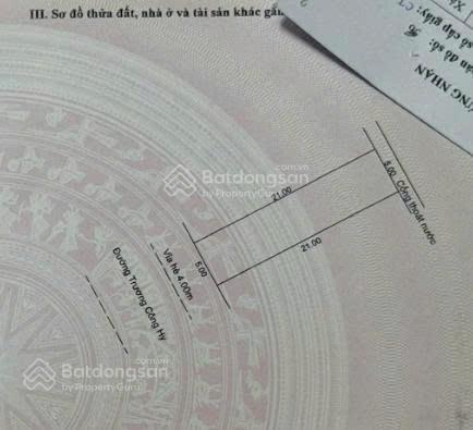 Siêu đẹp, lô trương công hy, nam việt á