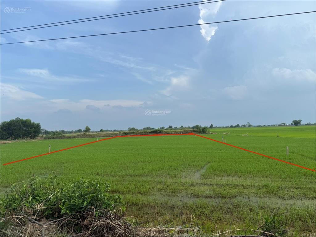 Bán đất mặt tiền quốc lộ 22b nằm giữa kcn hiệp thạnh và kcn thạnh đức, gần cao tốc mộc bài