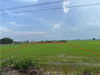 Bán đất mặt tiền quốc lộ 22b nằm giữa kcn hiệp thạnh và kcn thạnh đức, gần cao tốc mộc bài