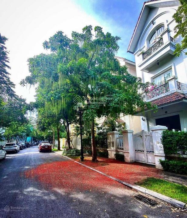 Bán gấp 10.5x25m bán nhà đường phổ quang, phường 2, quận tân bình nhà nát tiện xây mới