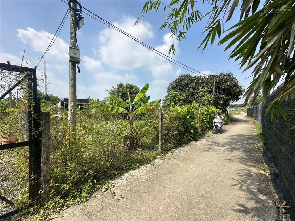 Nhà vườn 1086m2 xã hưng long bình chánh(đất vườn)