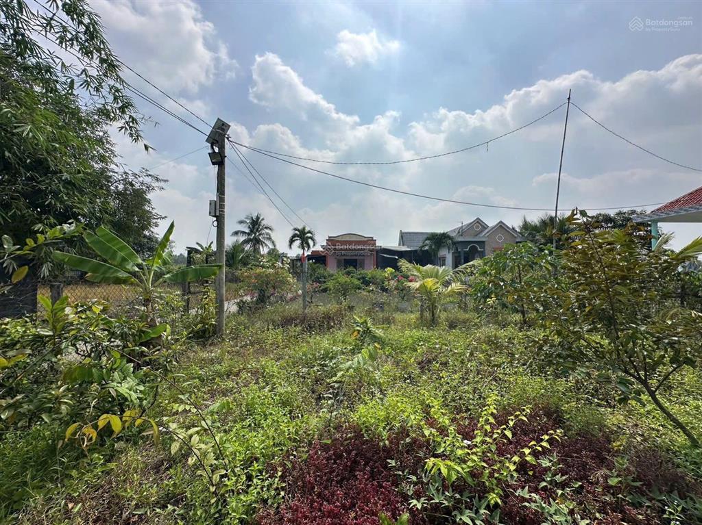 Nhà vườn 1086m2 xã hưng long bình chánh(đất vườn)