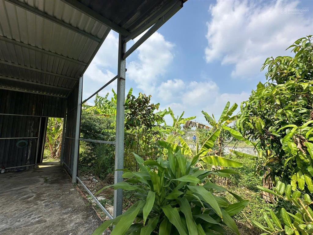 Nhà vườn 1086m2 xã hưng long bình chánh(đất vườn)