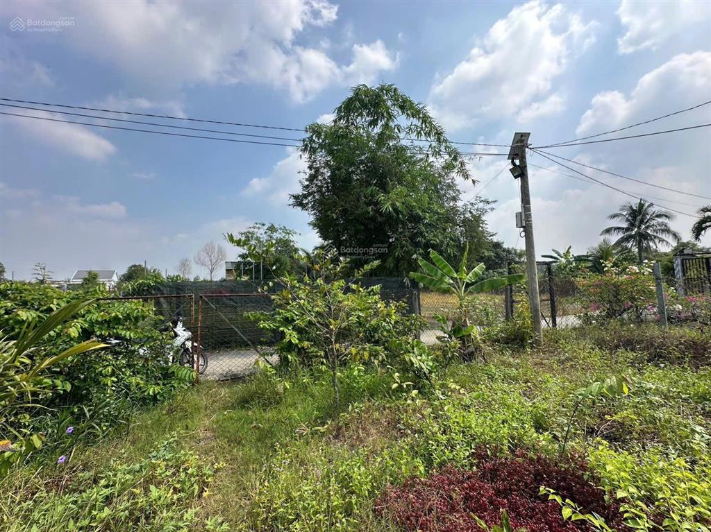 Nhà vườn 1086m2 xã hưng long bình chánh(đất vườn)