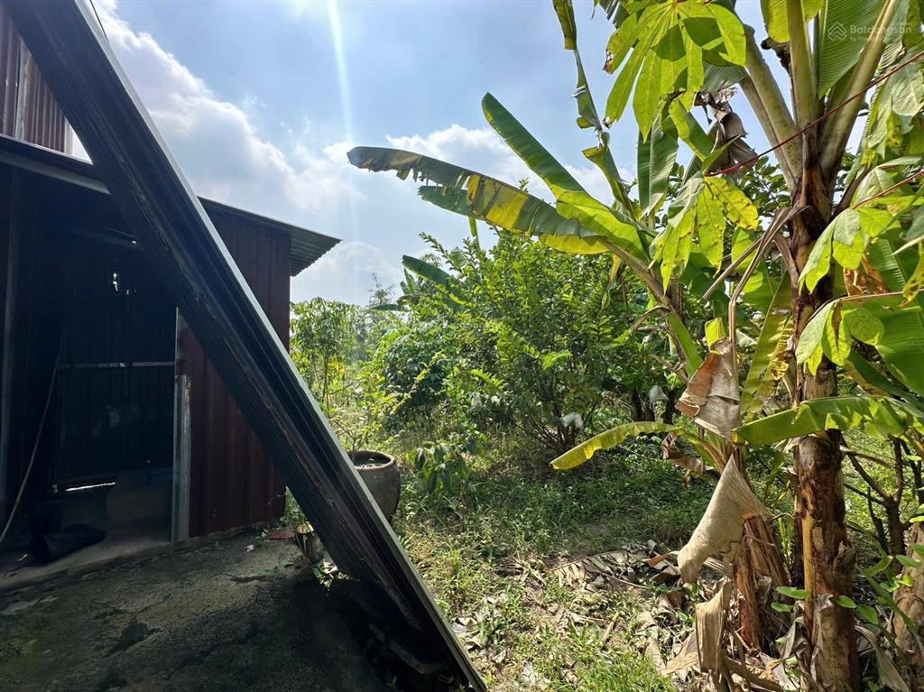 Nhà vườn 1086m2 xã hưng long bình chánh(đất vườn)