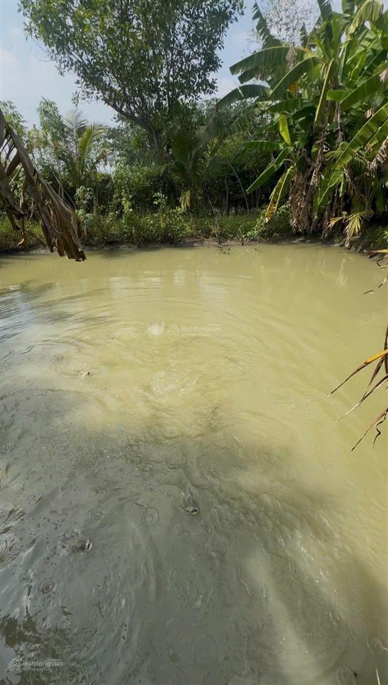 Nhà vườn 1086m2 xã hưng long bình chánh(đất vườn)