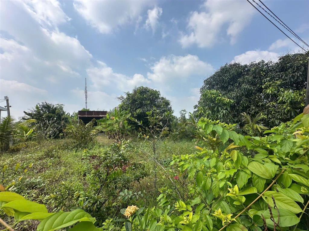 Nhà vườn 1086m2 xã hưng long bình chánh(đất vườn)