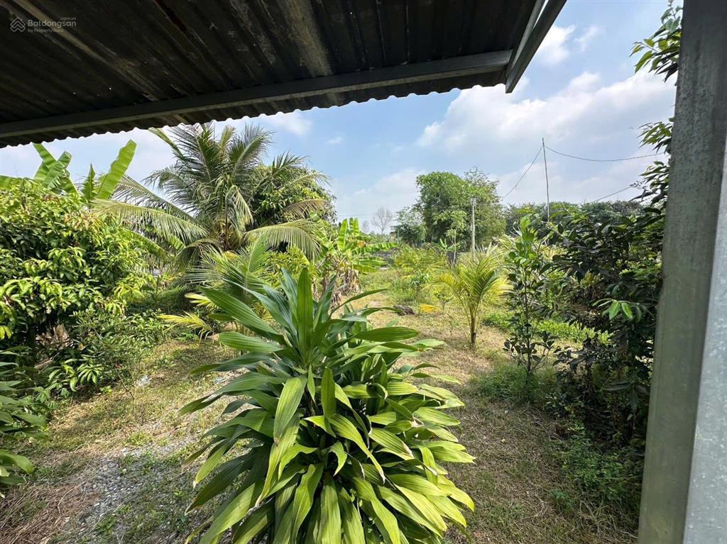 Nhà vườn 1086m2 xã hưng long bình chánh(đất vườn)