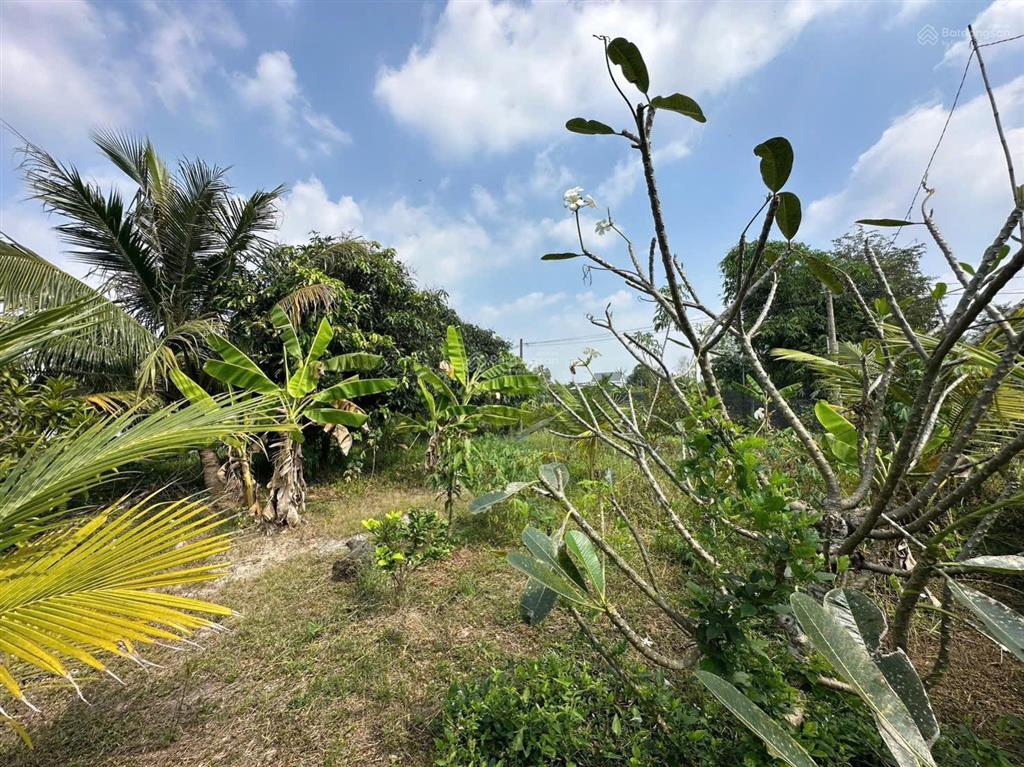 Nhà vườn 1086m2 xã hưng long bình chánh(đất vườn)