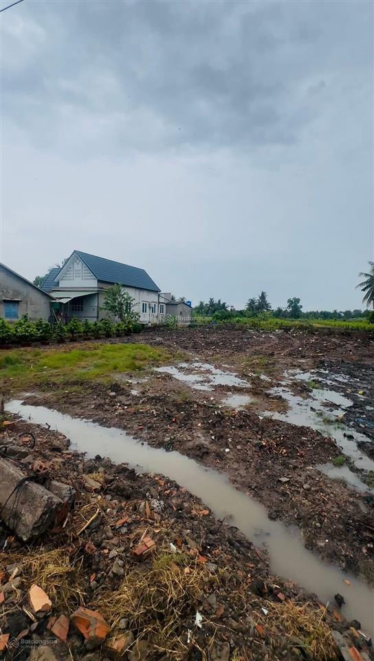 1590m2 full thổ cư sát đường vành đai 3