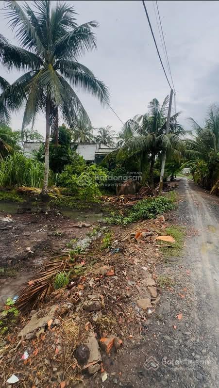 1590m2 full thổ cư sát đường vành đai 3