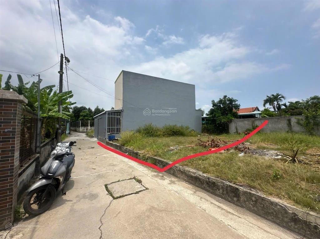 Đất thổ 98m2(8x12) xã tân quý tây bình chánh