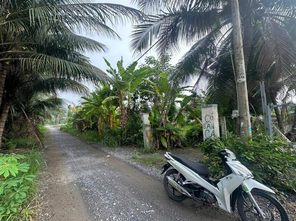 715m2 có 369m2 thổ cư đường xe tải xã lê minh xuân bình chánh