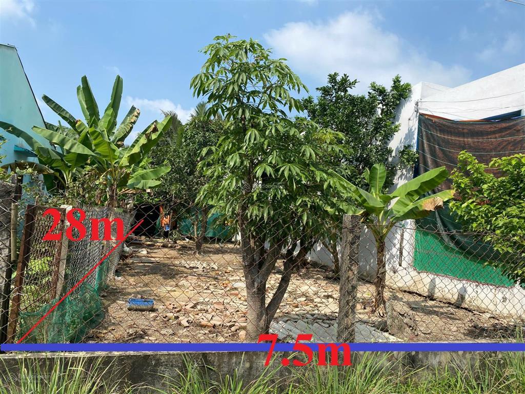 Chính chủ bán đất thổ cư 100% 212m2 nhơn thạnh trung, tp tân an