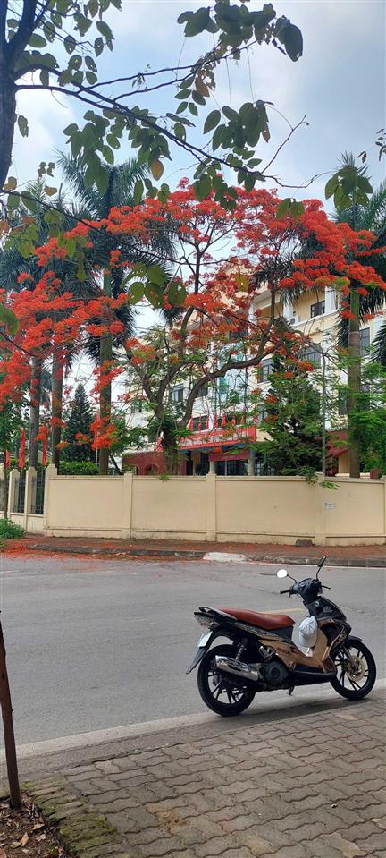 Bán đất có vị trí đẹp tại phân lô tứ hiệp 150m2 giá bán 33 tỷ đồng. xin  lộc  0962 658 ***