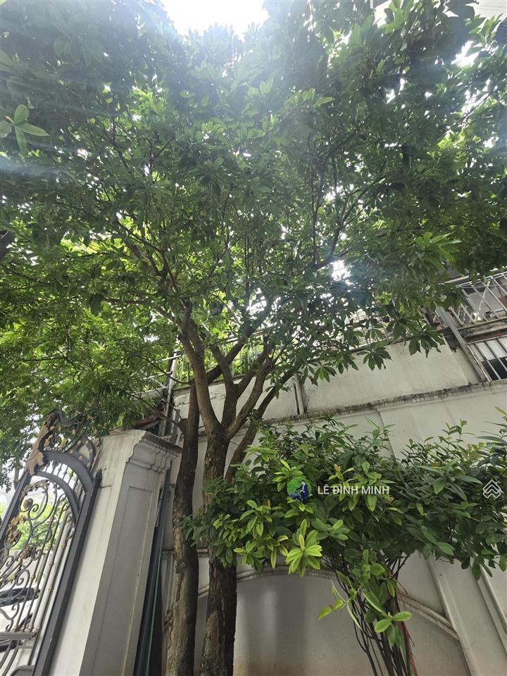 Biệt thự mới đẹp tại pháp vân. diện tích 288m2, mặt tiền 15m, thiết kế 04 tầng, thang máy