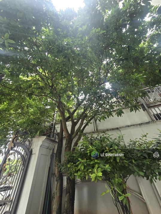 Biệt thự mới đẹp tại pháp vân. diện tích 288m2, mặt tiền 15m, thiết kế 04 tầng, thang máy